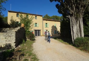 Tour Wandern Le Beausset - Tête de Cade-le Beausset-08-10-21 - Photo