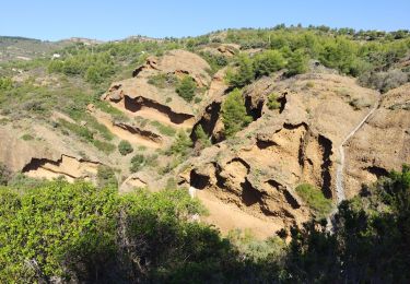 Trail Walking La Ciotat - La Ciotat - Photo