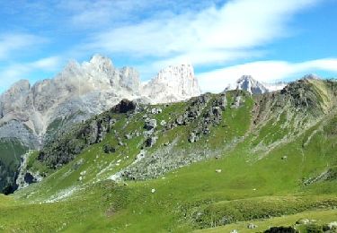 Tocht Te voet Campitello di Fassa - IT-E530 - Photo