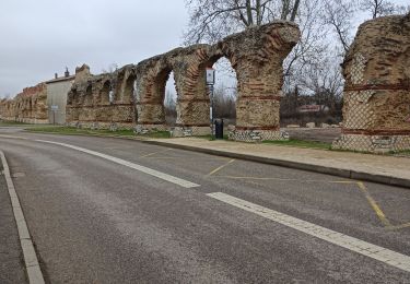 Tocht Stappen Francheville - Aqueduc et fort du Bruissin (PR1) - Photo