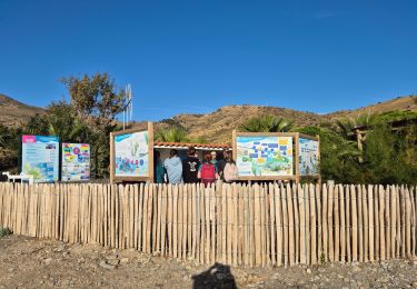 Excursión Senderismo Cerbère - Cerbère Pyrénées Orientales - Photo