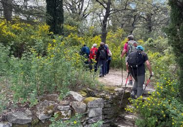 Tocht Stappen Oppède - PF-Oppède le Vieux - Le sentier vigneron - Forteresse et Collégiale - Photo