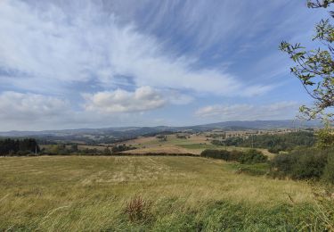 Tocht Stappen Périgneux - Marche de la Fanandrette - Photo