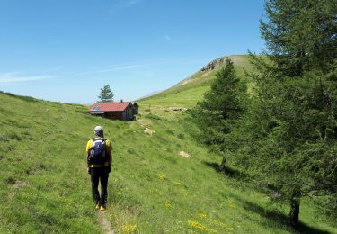 Tocht Stappen Roure - Mont Autcellier de Roure au Refuge Longon J1 - Photo