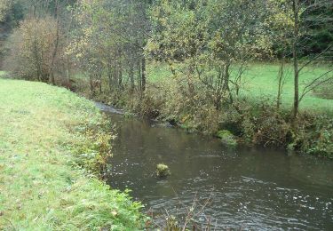 Tour Zu Fuß Kirchzell - Rundwanderweg Watterbach 1 - Photo