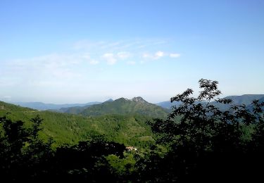 Randonnée A pied Valbrevenna - Pochettini - Monte Schigonzo - Monte Cugno - Photo