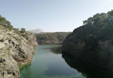 Trail Walking Le Tholonet - Le Tholonet, barrage zola, barrage bimont, barrage romain - Photo