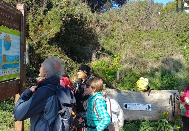 Trail Walking Hyères - giens - Photo