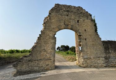 Tocht Stappen Châteauneuf-du-Pape - PF-Châteauneuf du Pape - Autour de Châteauneuf du Pape - Photo