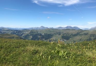 Randonnée Marche Les Contamines-Montjoie - Col de la fenêtre  - Photo