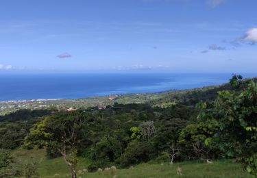 Tour Wandern Saint-Claude - Plateau Dimba Beau Soleil - Photo