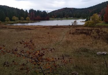 Randonnée Marche Oyonnax - le lac genin par la pointe de bier  - Photo