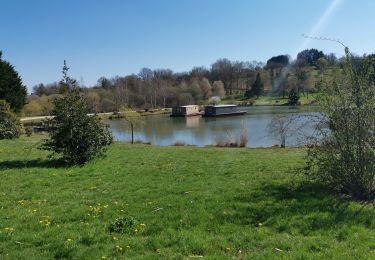 Trail Walking Chamberet - Chamberet - L'arboretum - Photo
