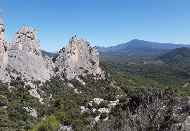 Trail Walking Gigondas - Grand Montmirail - Photo