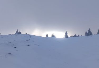 Excursión Raquetas de nieve Aillon-le-Jeune - Rando raquettes Bauges 1 - Photo