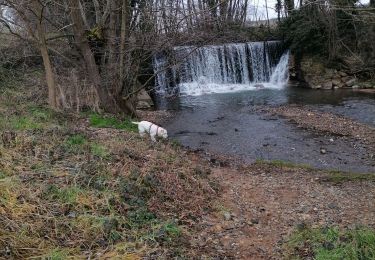 Excursión Senderismo La Chapelle-de-Guinchay - cascade - Photo