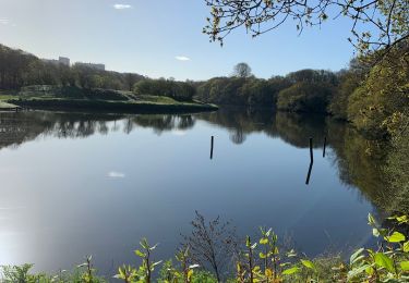 Randonnée Marche nordique Guilers - Du bois de keroual à la penfield - Photo