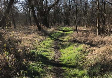 Trail Walking Nieuwpoort - Ter duinen - Photo