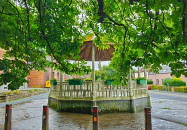 Randonnée Marche Lobbes - Balade à Mont-Sainte-Geneviève - Photo