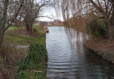 Trail Walking Grande-Synthe - grande synthe  - Photo