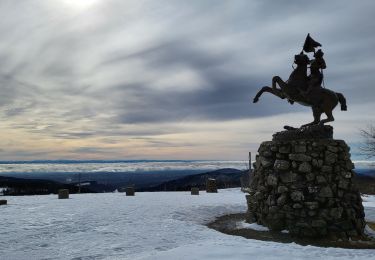 Tocht Stappen Lepuix - ballon d'alsace le tour des pistes  - Photo