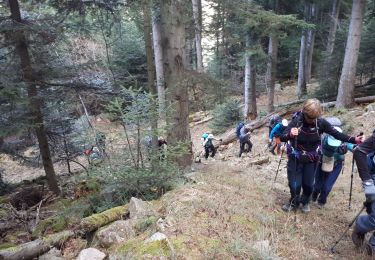 Percorso Marcia Clanzo - Sommet de Negossi par Clans - Photo
