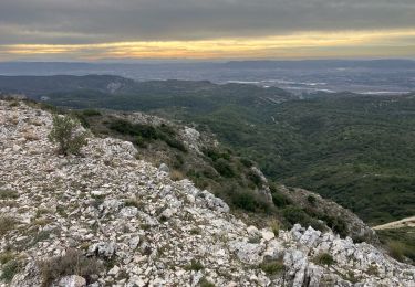 Randonnée Trail Cheval-Blanc - Les Buisses-Cantian (13k 530D+) - Photo