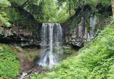 Randonnée Marche Laqueuille - 2021-06-28 cascade du trador - Photo