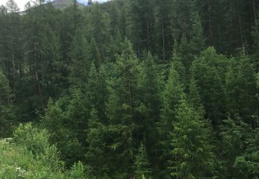 Trail Walking Val-d'Isère - Petit tour dans la forêt du fornet - Photo