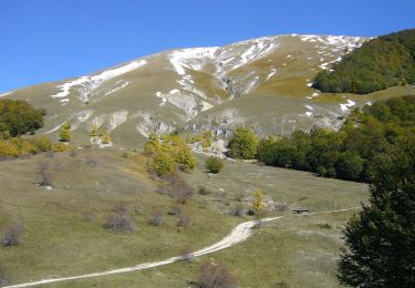 Excursión A pie Villetta Barrea - Villetta Barrea - Anatuccio - Photo