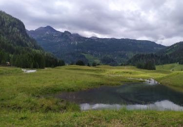 Trail Walking Untertauern - Joahness - Photo