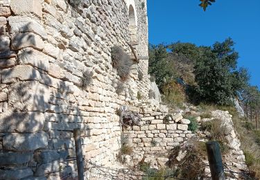 Tour Wandern Beaumes-de-Venise - notre dame d aubune - Photo