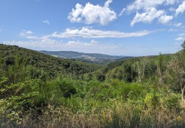 Excursión Senderismo La Chabanne - périasse boucle 7 km - Photo