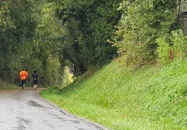 Tour Laufen Villars-les-Bois - Course de côtes - Photo