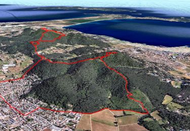 Trail Walking La Crau - Le Paradis et le mont des oiseaux - Photo