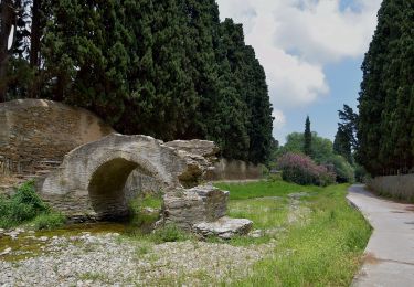 Tour Zu Fuß  - Andros Routes 5 - Photo