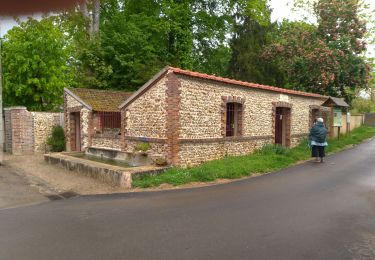 Tocht Stappen Saint-Aubin-sur-Yonne - Saint Aubin - Photo