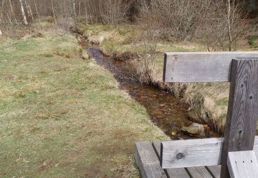 Tour Wandern Bütgenbach - Vennbahn-Croix des Fagnes-Fagnes de Cléfaye-Etang de Schwarzbach - Photo