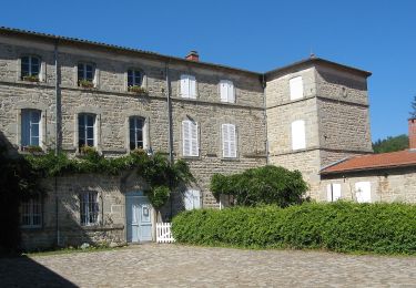 Percorso A piedi Saint-Dier-d'Auvergne - Des Ribes au Miodet - Photo