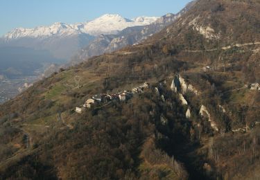 Trail On foot Bussoleno - IT-565 - Photo