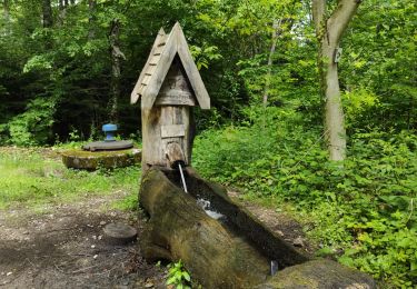 Trail Walking Wuenheim - Wuenheim 2 - Photo