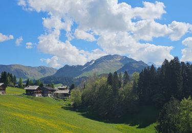 Percorso Mountainbike Le Grand-Bornand - découverte du Chinaillon II - Photo