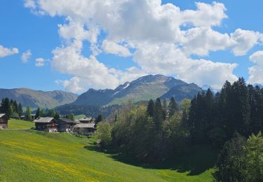 Tour Mountainbike Le Grand-Bornand - découverte du Chinaillon II - Photo