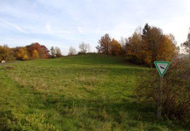 Tour Zu Fuß Schlüchtern - Hutten - Rundwanderweg Eichblatt - Photo