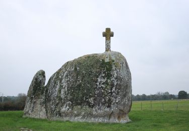 Tocht Te voet Boussay - Les Rochers - Photo