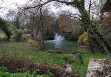 Tocht Stappen Bras - Chutes du tombereau - Photo