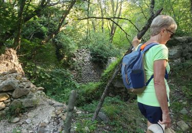 Tocht Stappen Bagnols-en-Forêt - la Verrerie, le vieux moulin - Photo