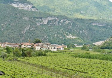Percorso A piedi Arco - Sentiero del Monte Colt - Photo