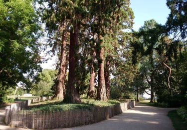 Excursión Senderismo Tours - Tours - 6km 50m 1h - 2017 01 29 - Photo