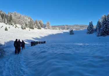 Randonnée Raquettes à neige Haut Valromey - la cua - Photo